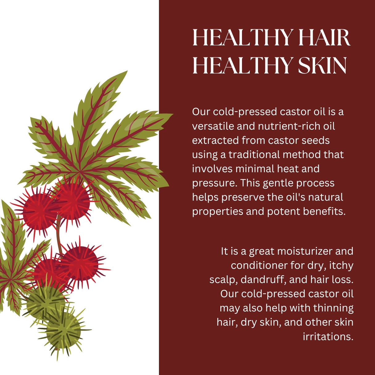 Cold Pressed Castor Hair Oil | 200ml - Image 3